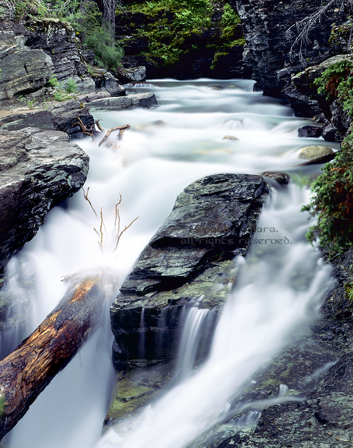 Bailey Creek, Glacier NP (from 4x5)