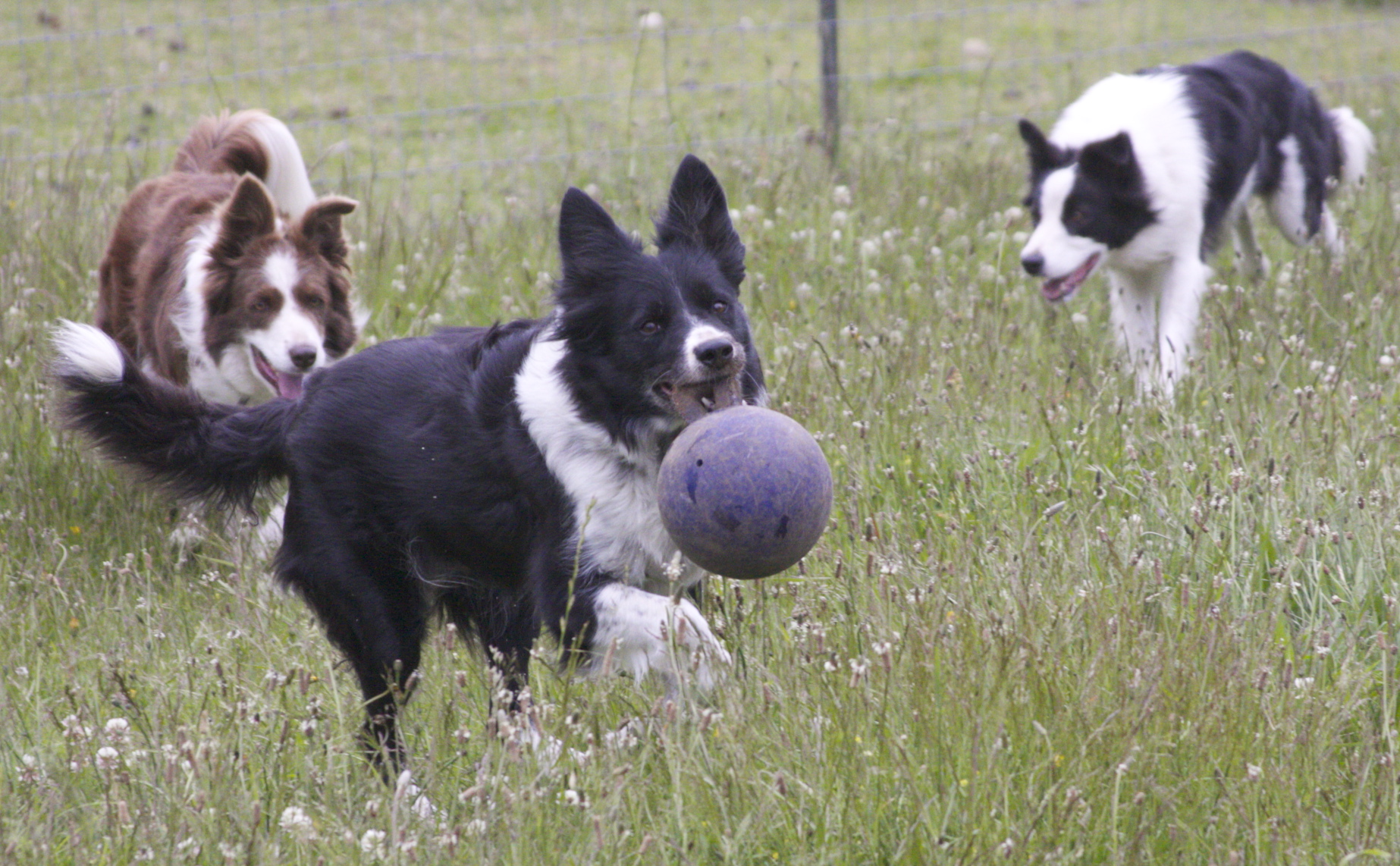 BC playtime