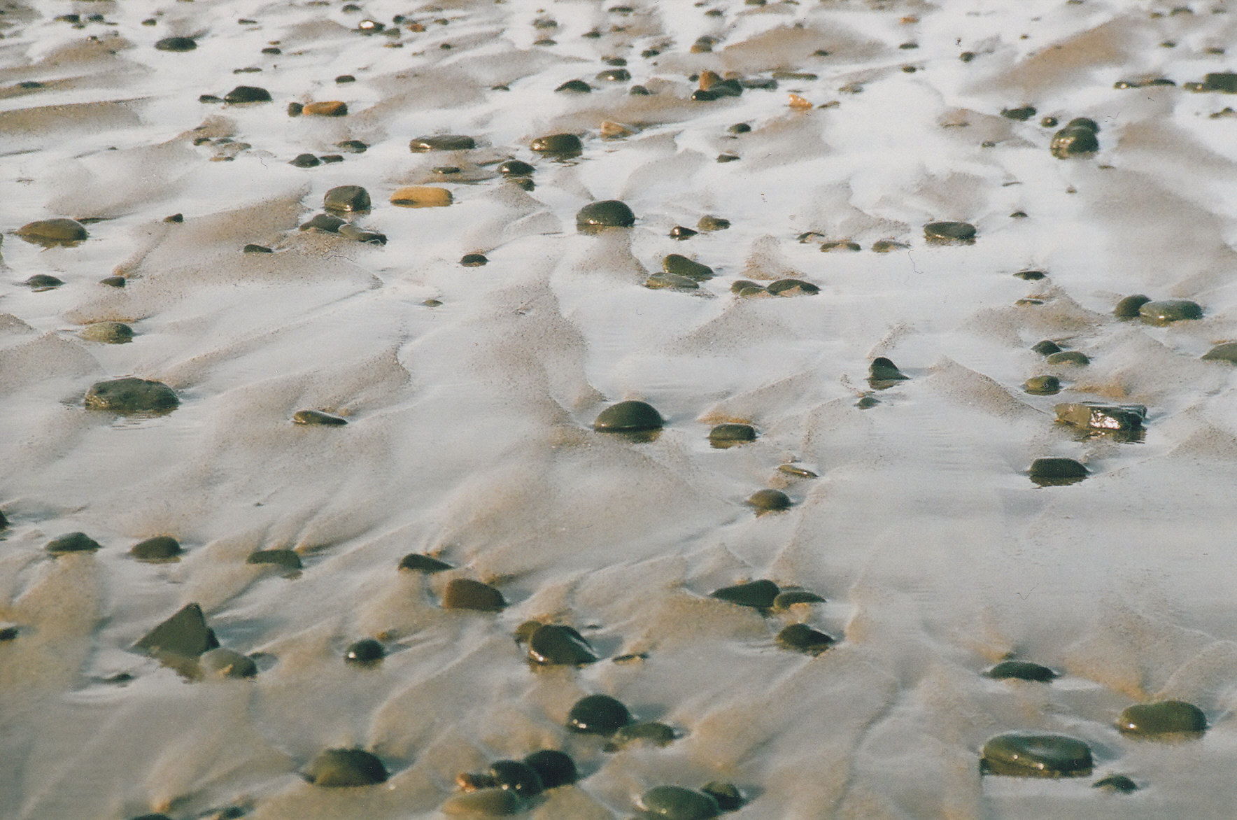 Beach Art