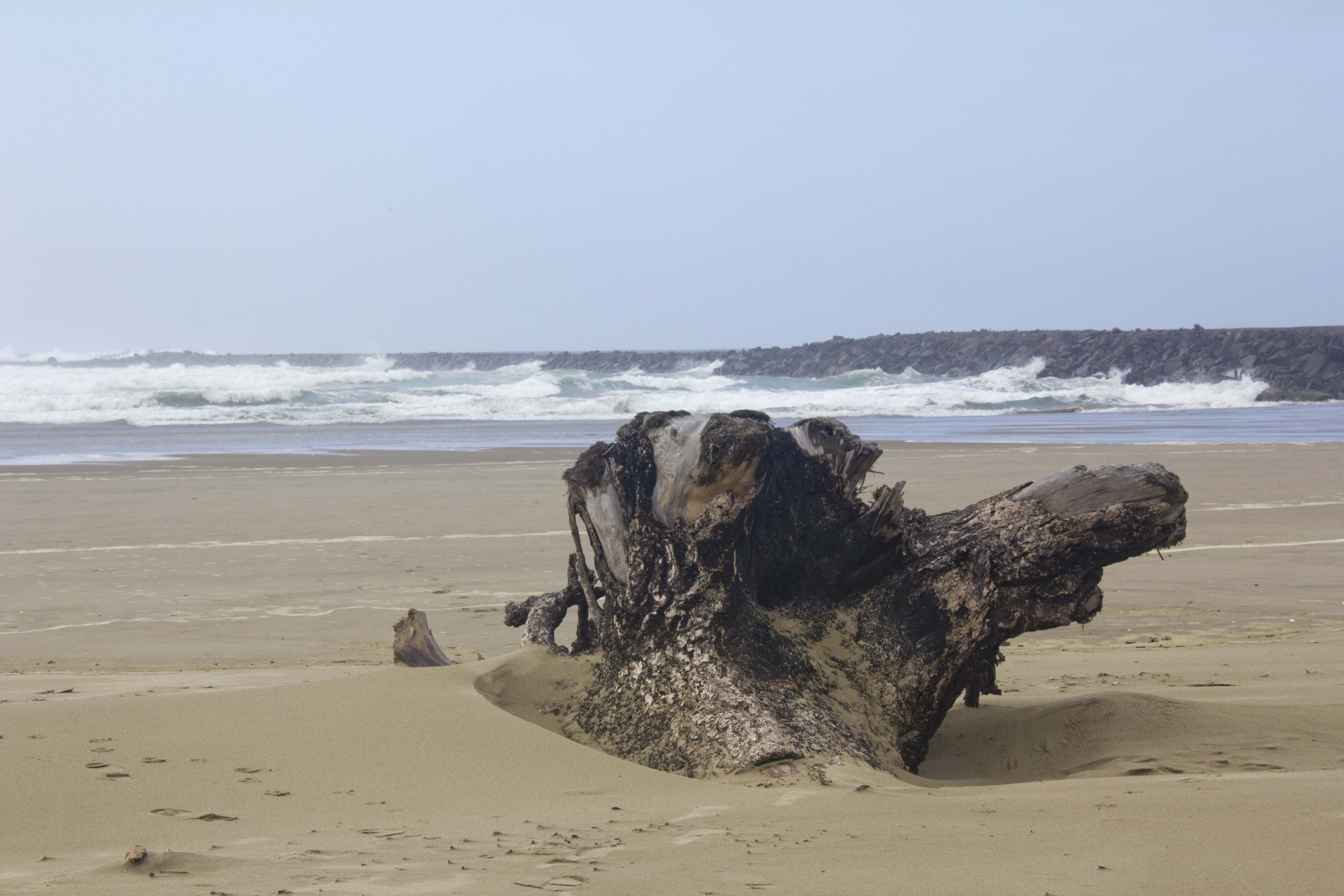 beach in Florence, OR Coast