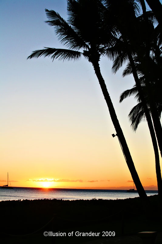 Beach sunset