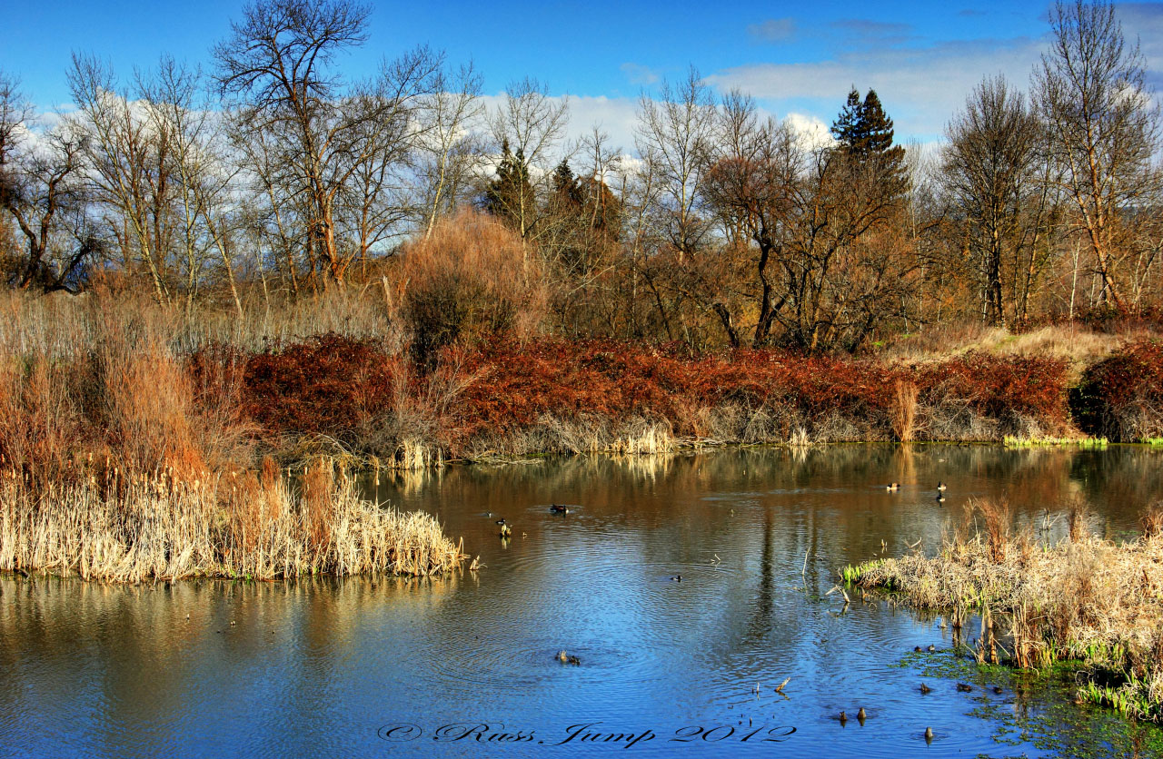 Bear Creek Greenway