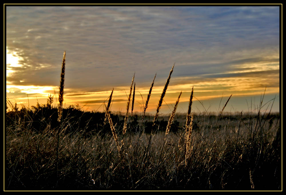Before Sunset