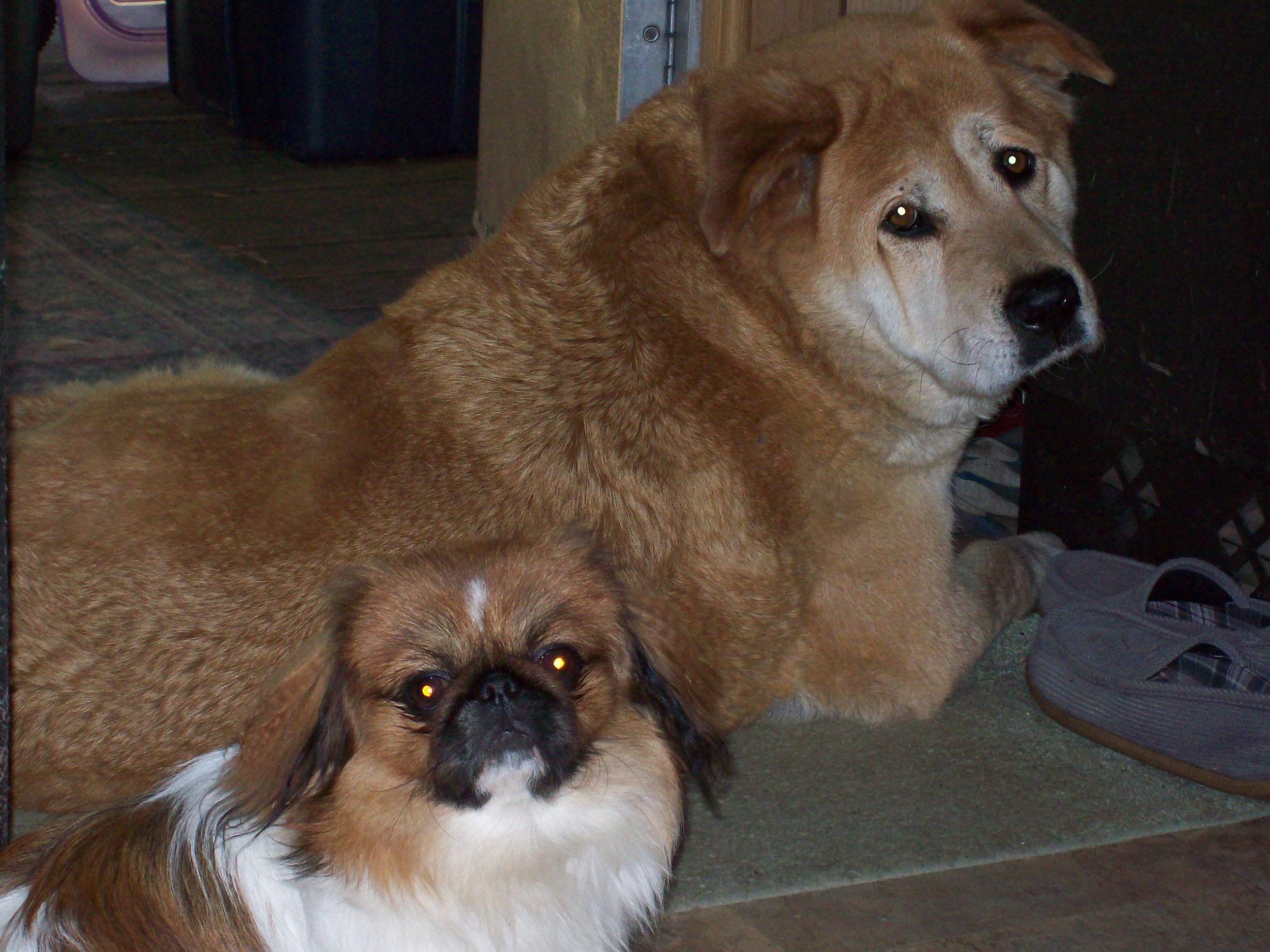 Best Friends