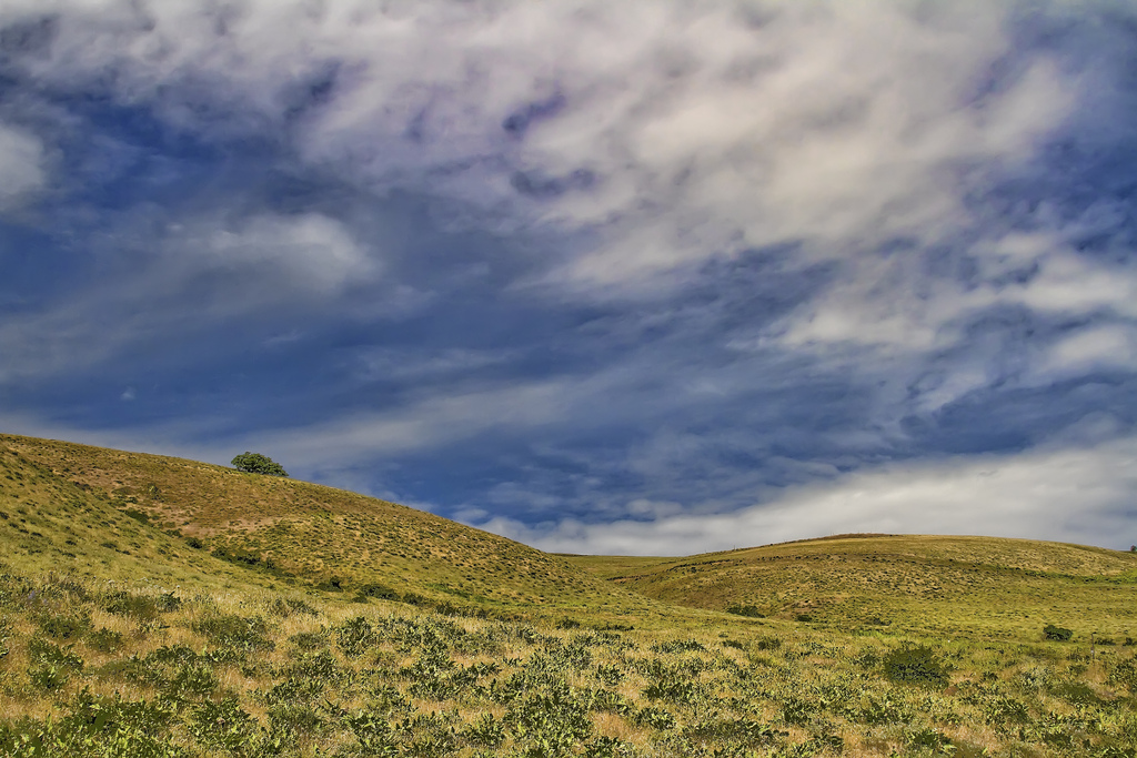 Between the sky and hills.
