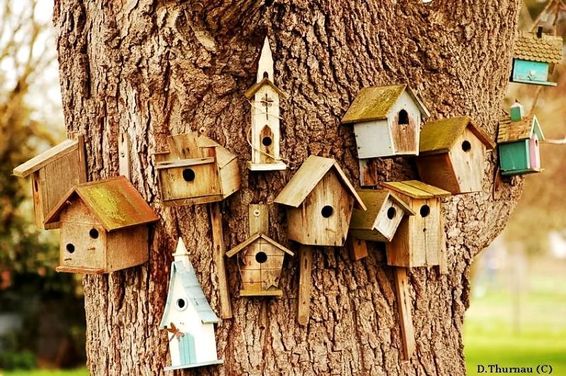 birdhouses