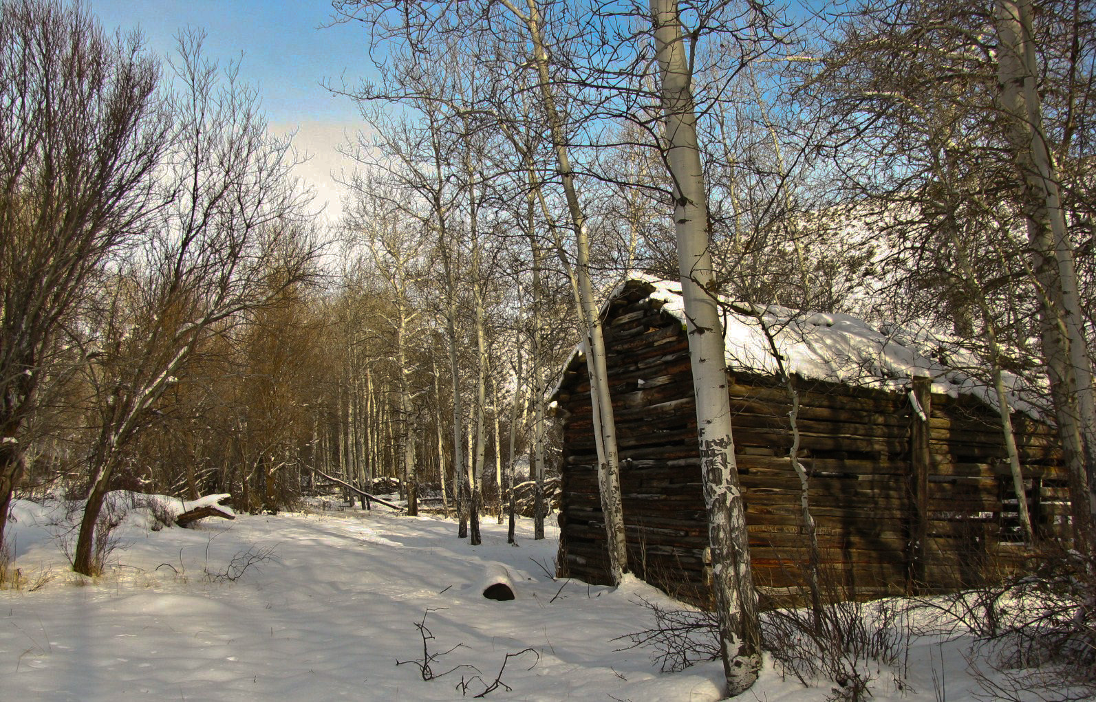 Black Canyon Homestead