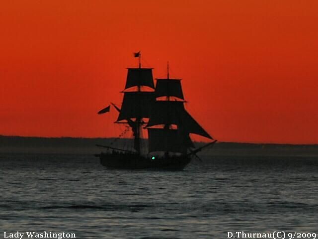 Black Pearl