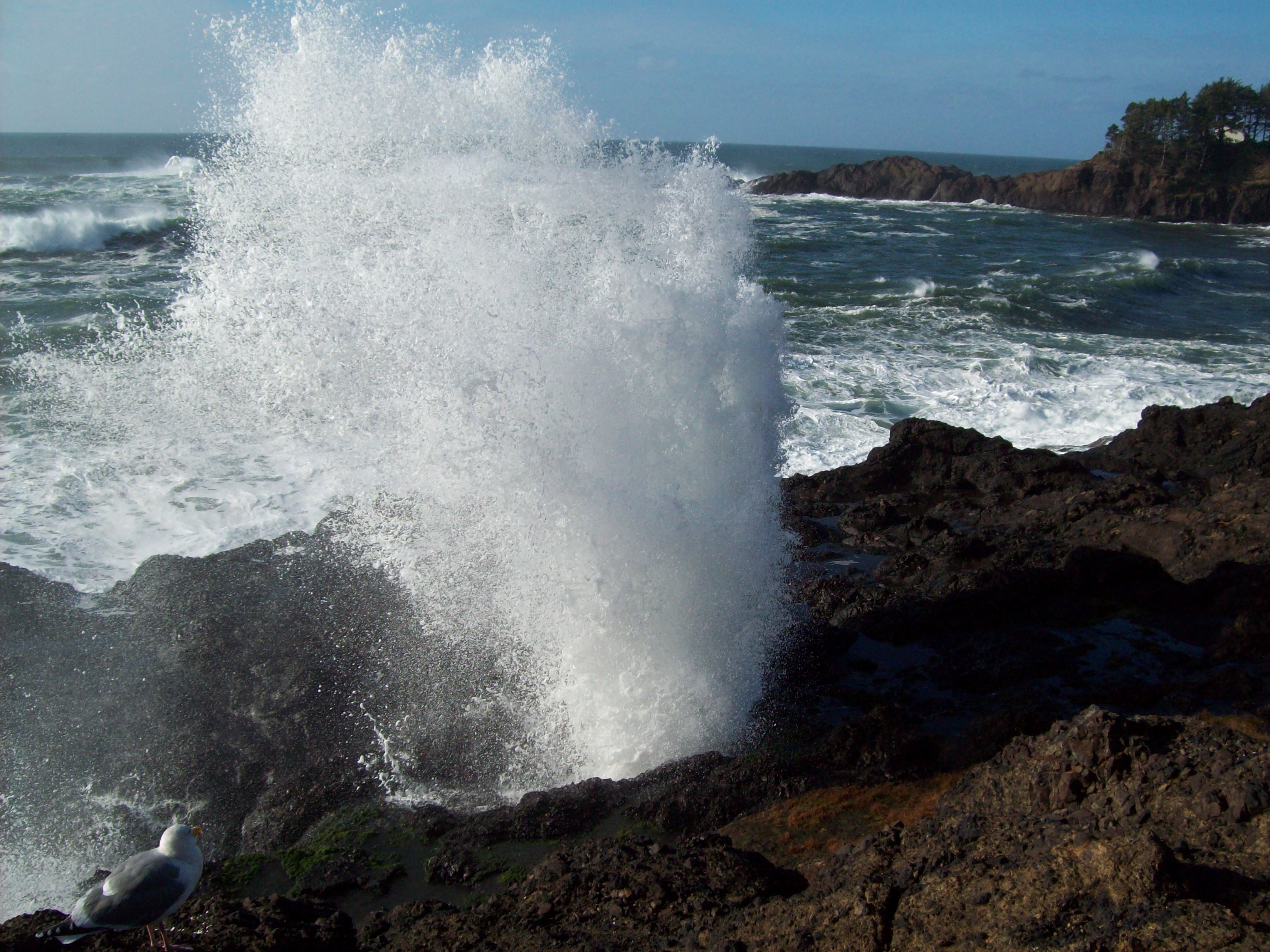 Blow hole