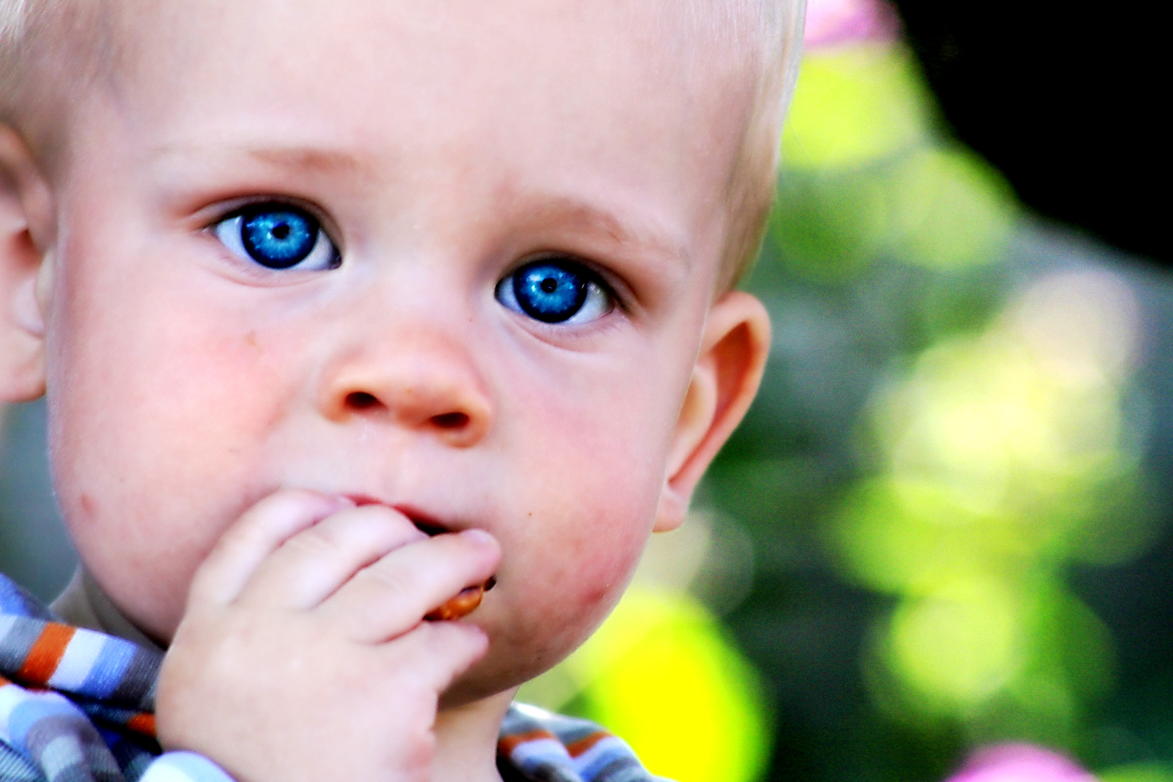 Blue Eyes