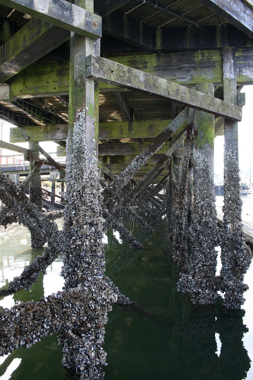 bottom of the boardwalk