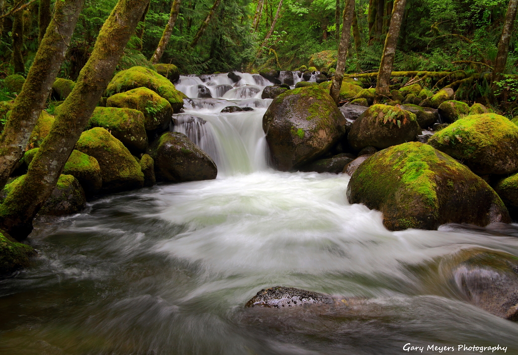 Boulder Creek ,OREGON