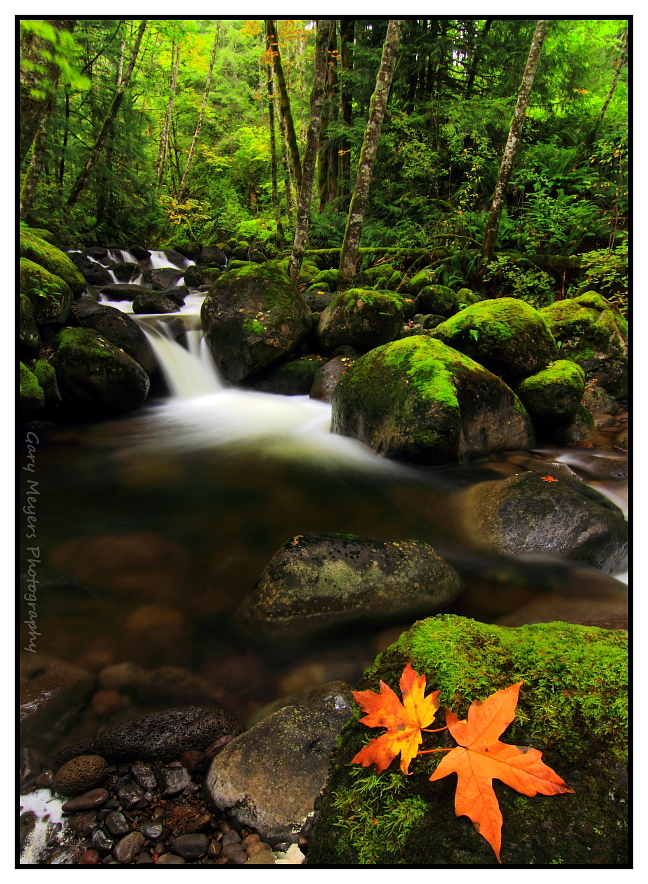 Boulder Creek
