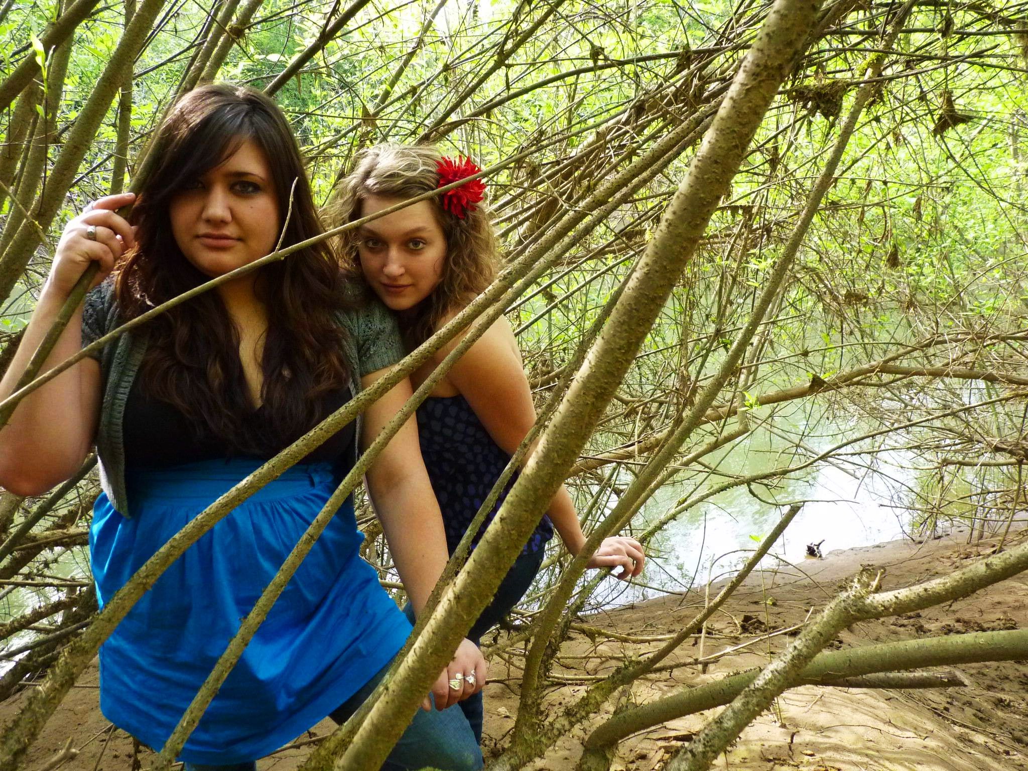 Branches