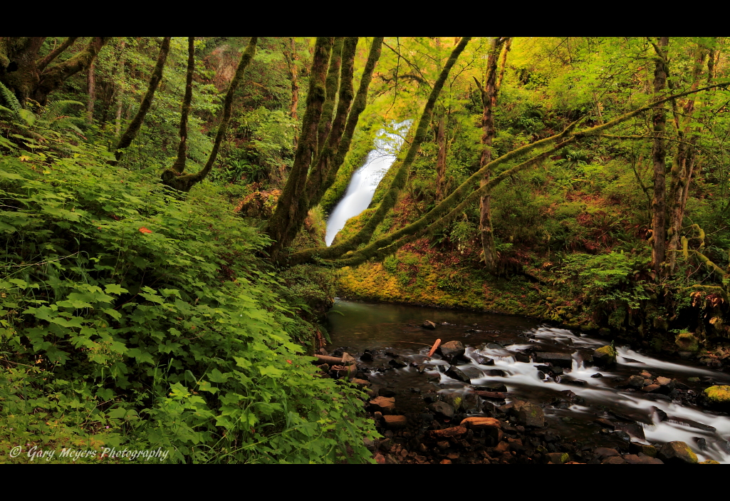 Bridal Veil