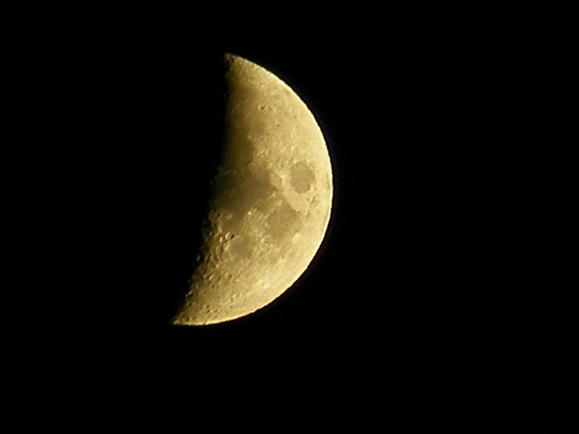 Bright Moon Light