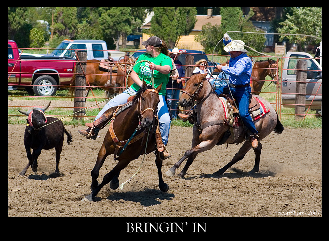 bringin-in