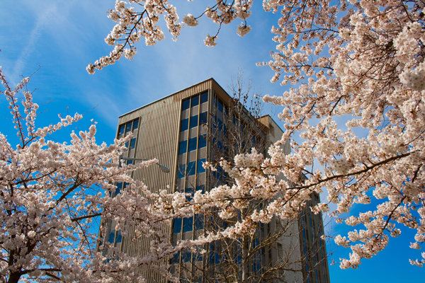 Building in Bloom