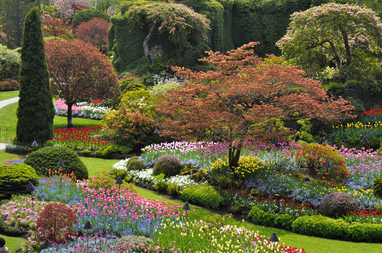 Butchart Gardens
