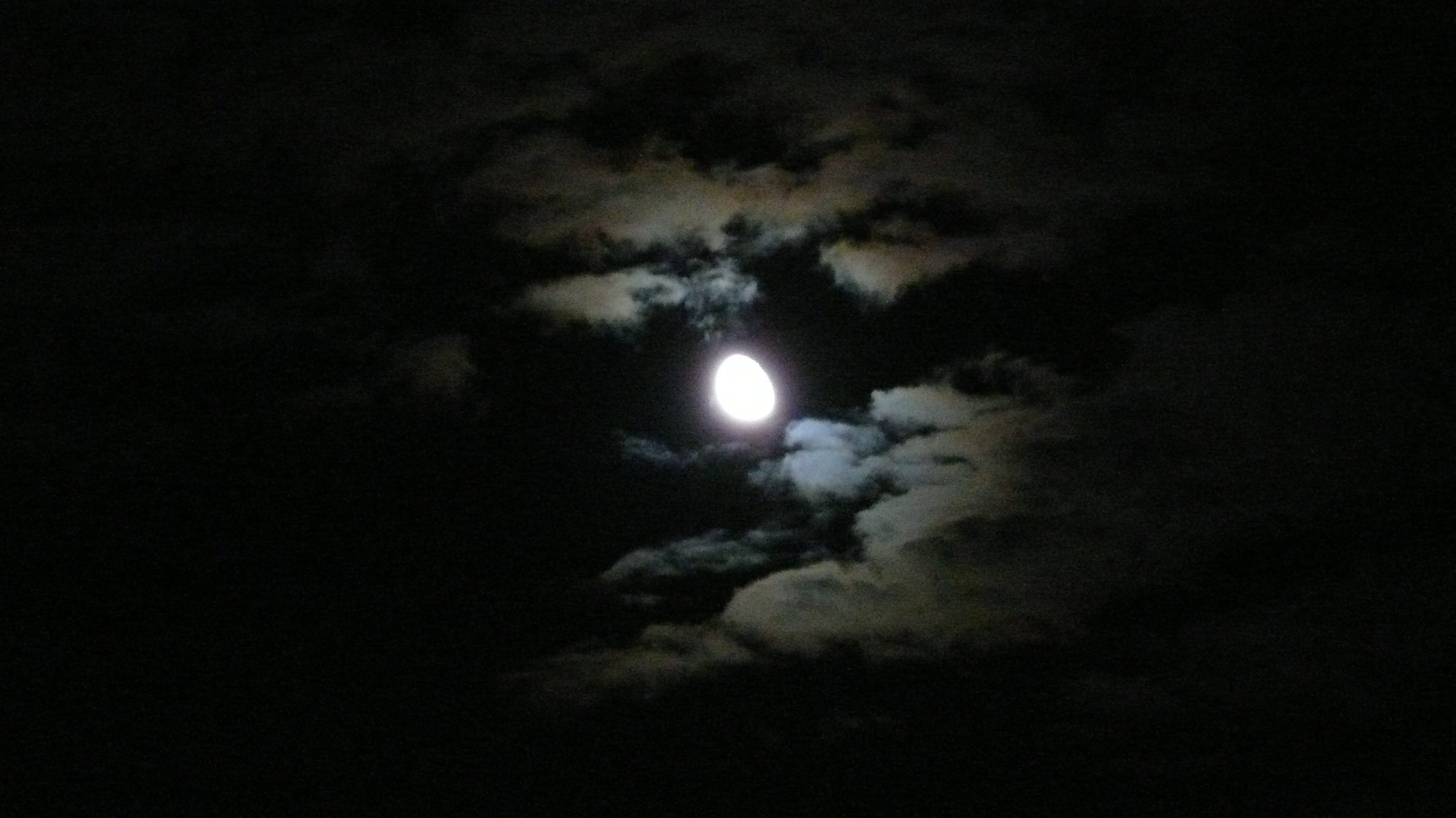By the Light of the Moon