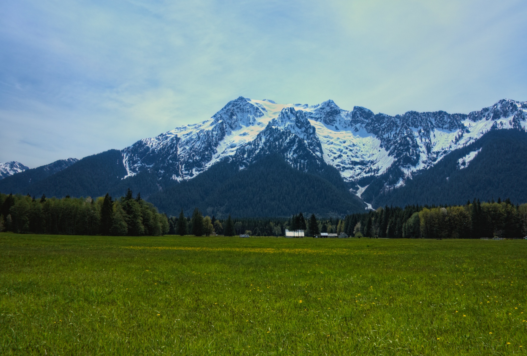 Cascade Meadow