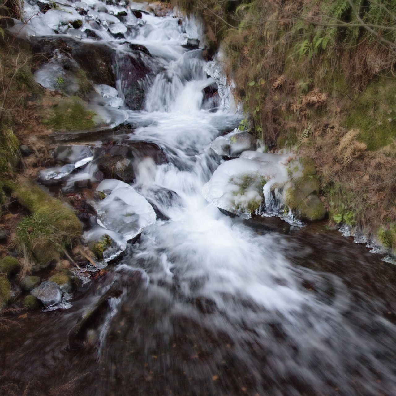 Changing focus