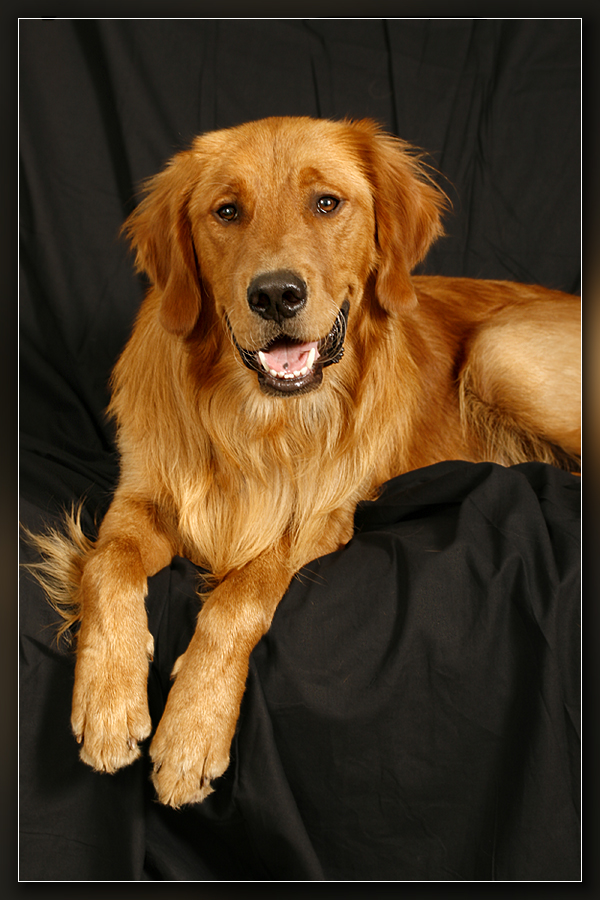 Charlie