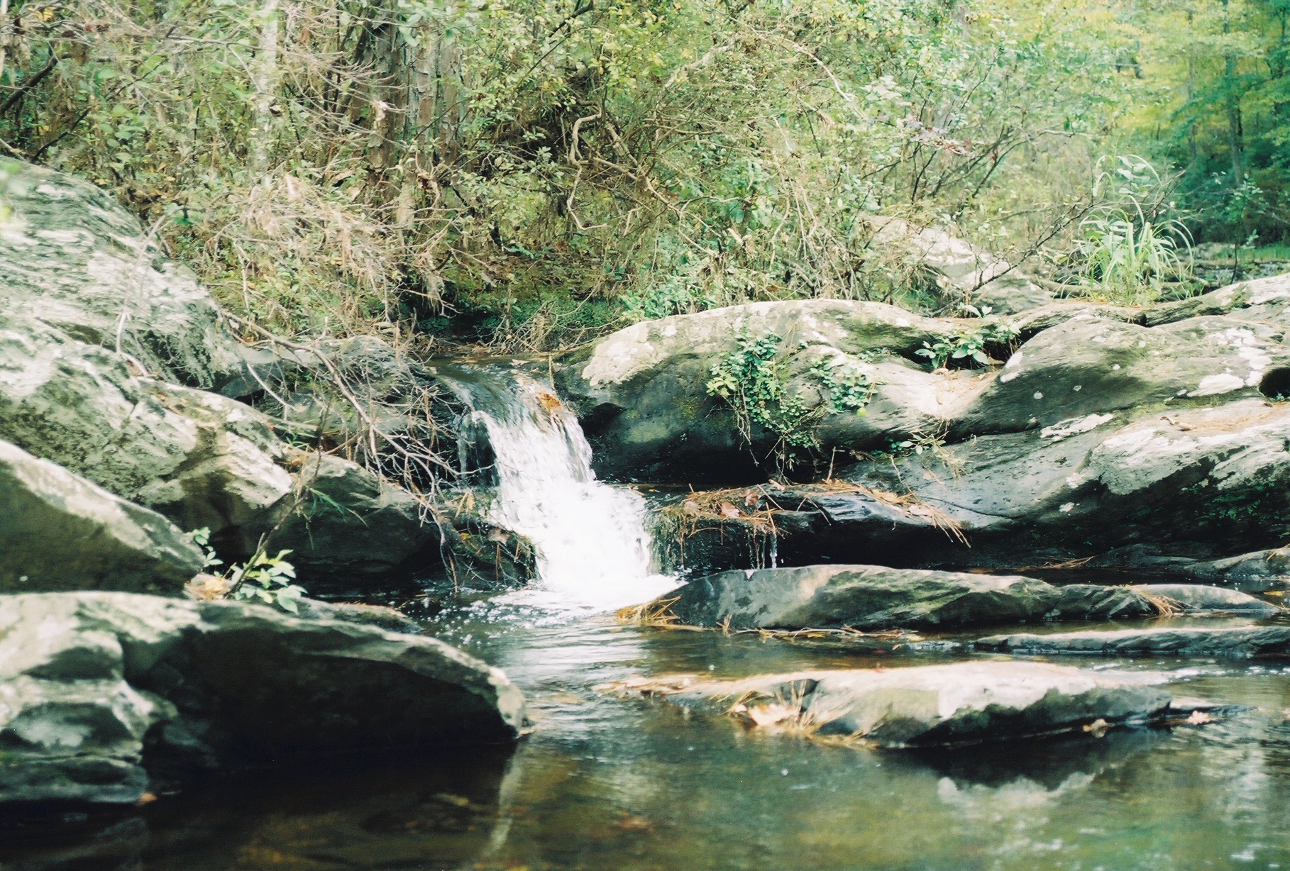 Cheaha SP, Alabama