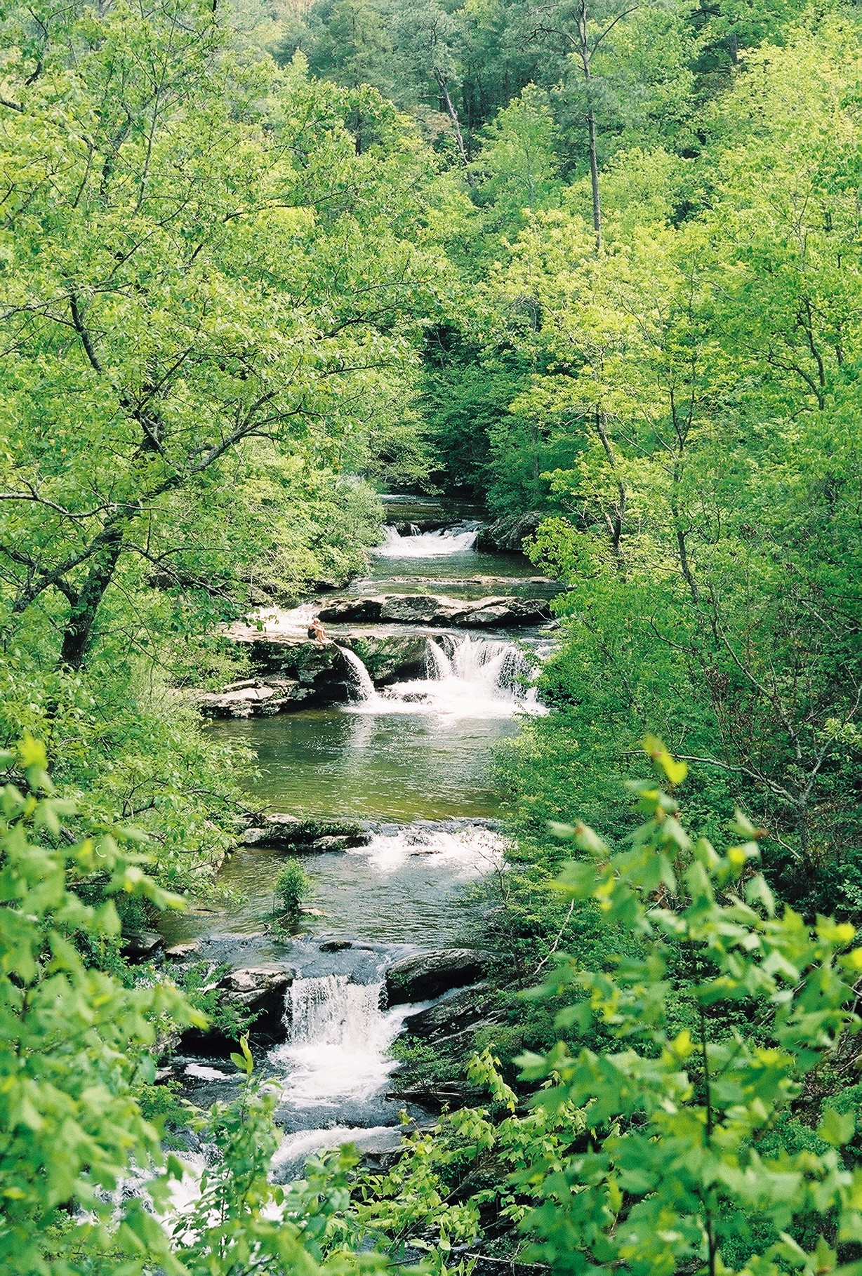 Cheaha SP, Alabama