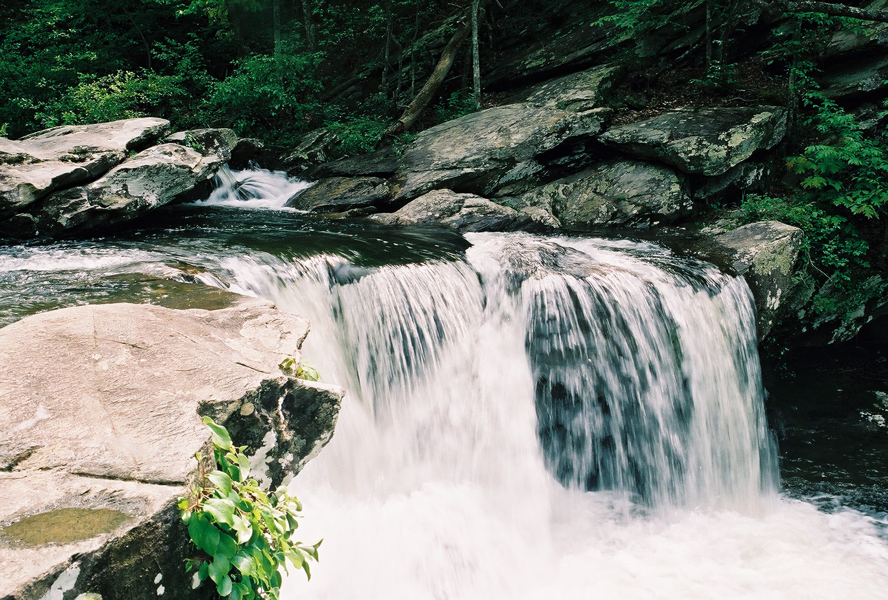 Cheaha SP, Alabama