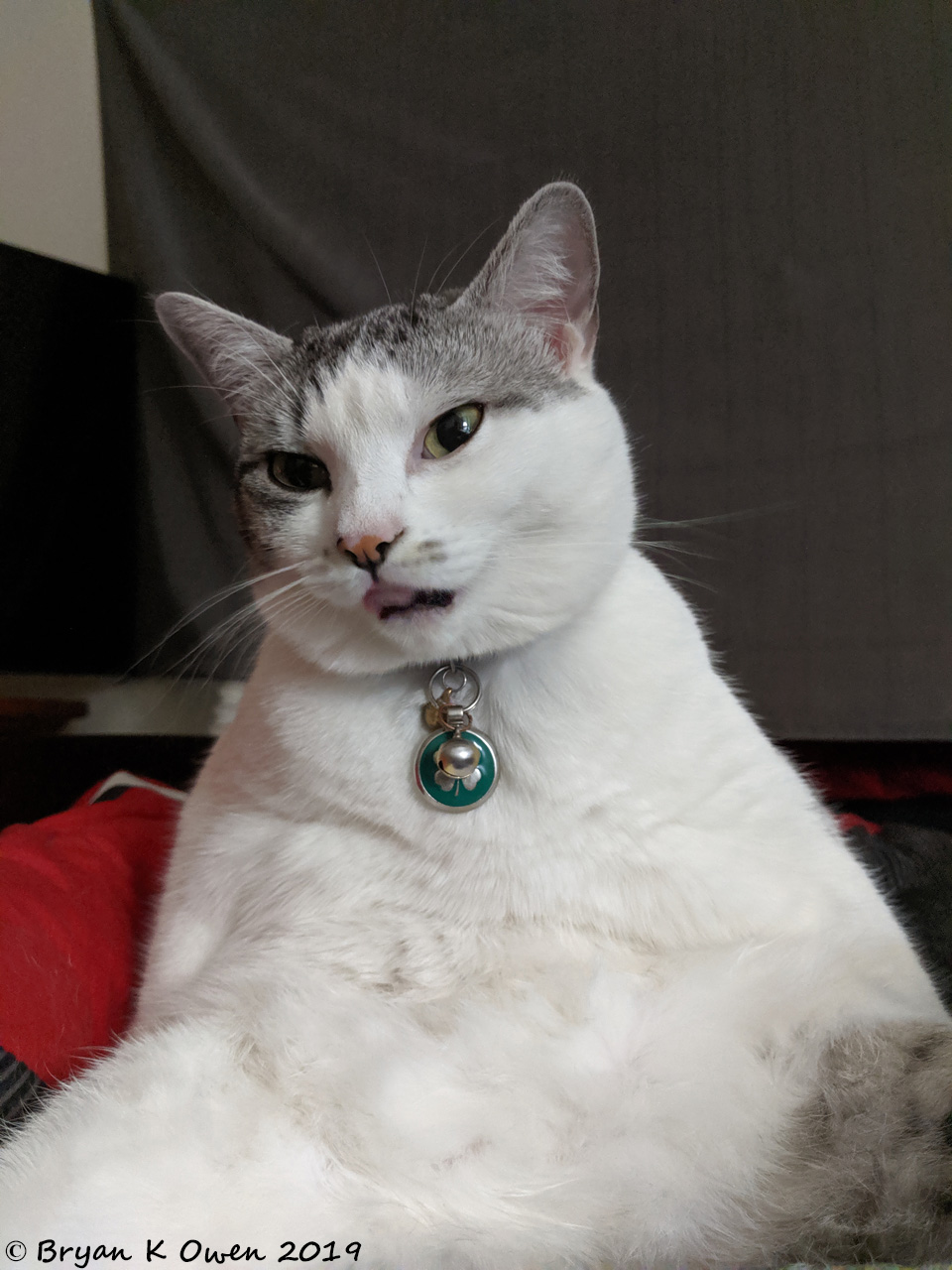Cheyenne