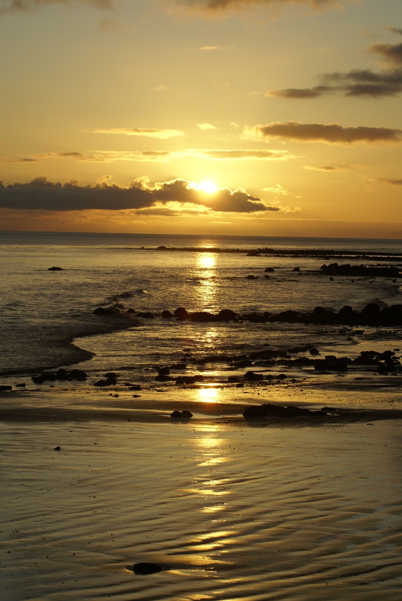 Chito Golden sunrise