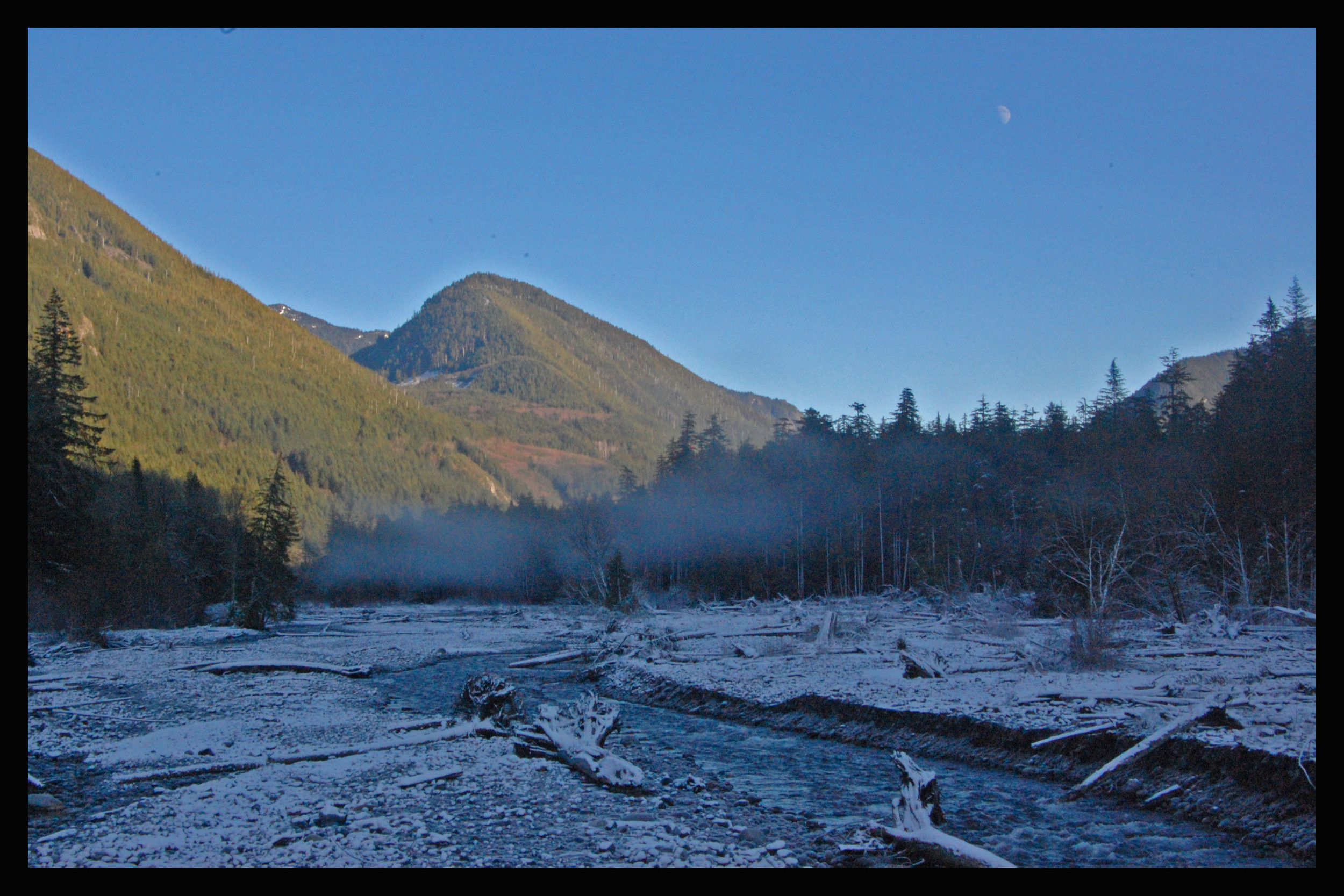 Christmas Fog