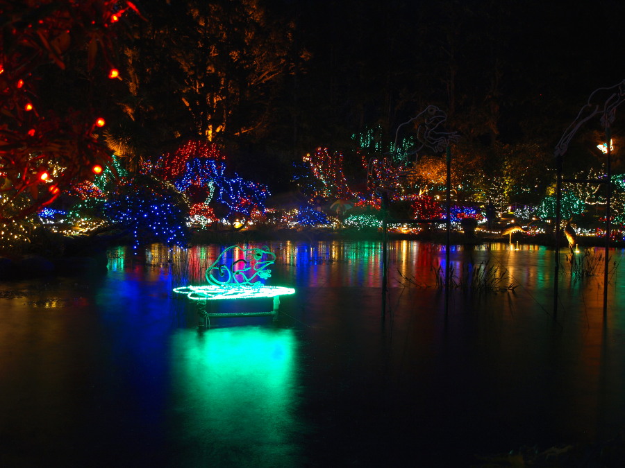Christmas light display