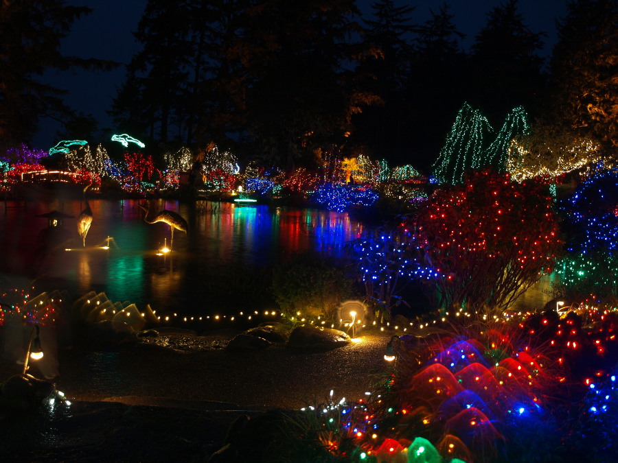 Christmas light display