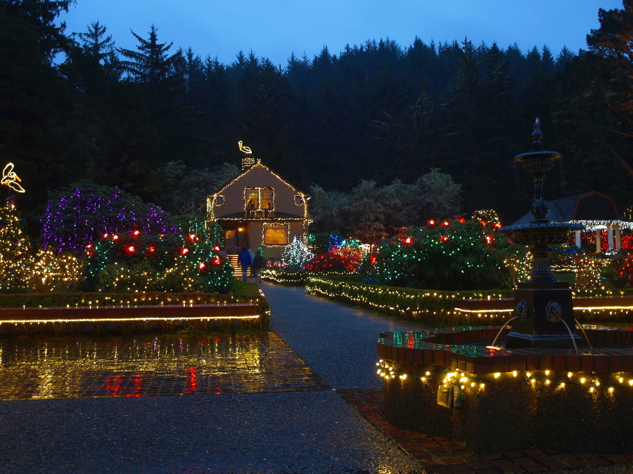 Christmas light display