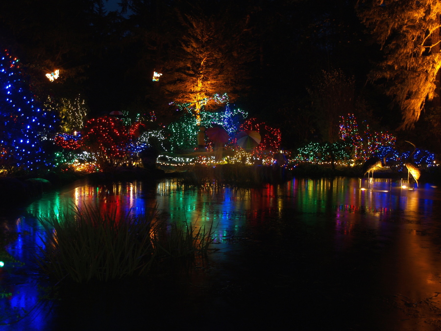Christmas light display