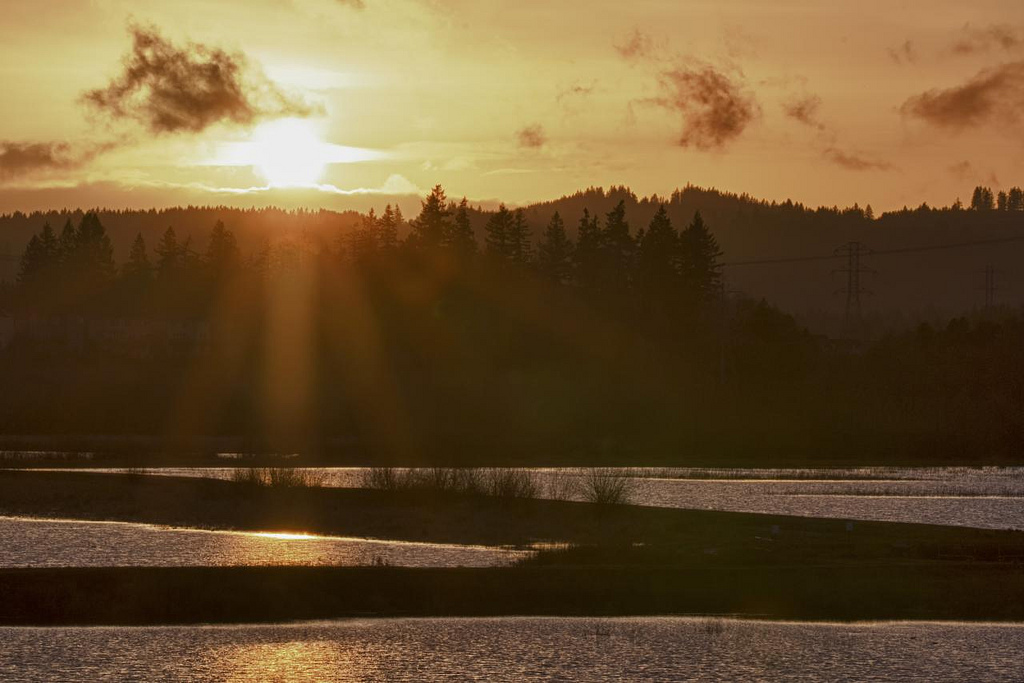 Christmas Sunset, Tualatin National Wildlife Refuge