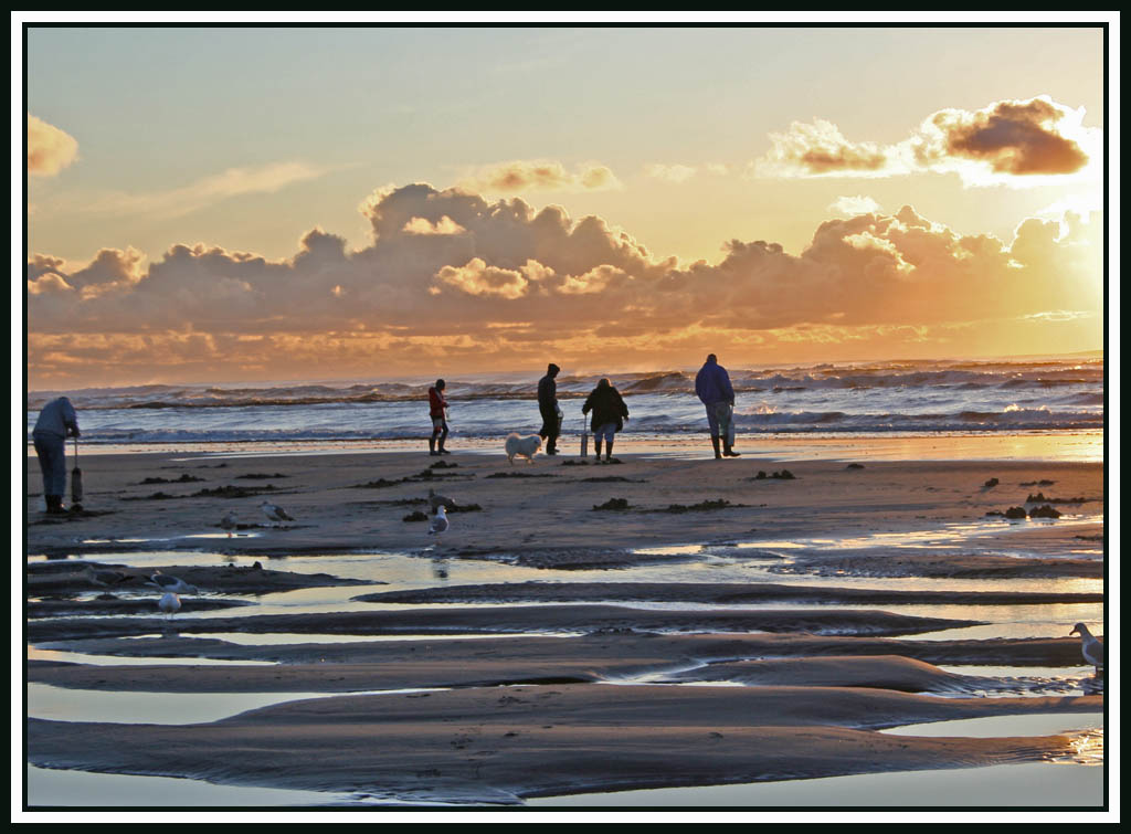 Clamming - Long Beach, WA  Nov 20, 2010