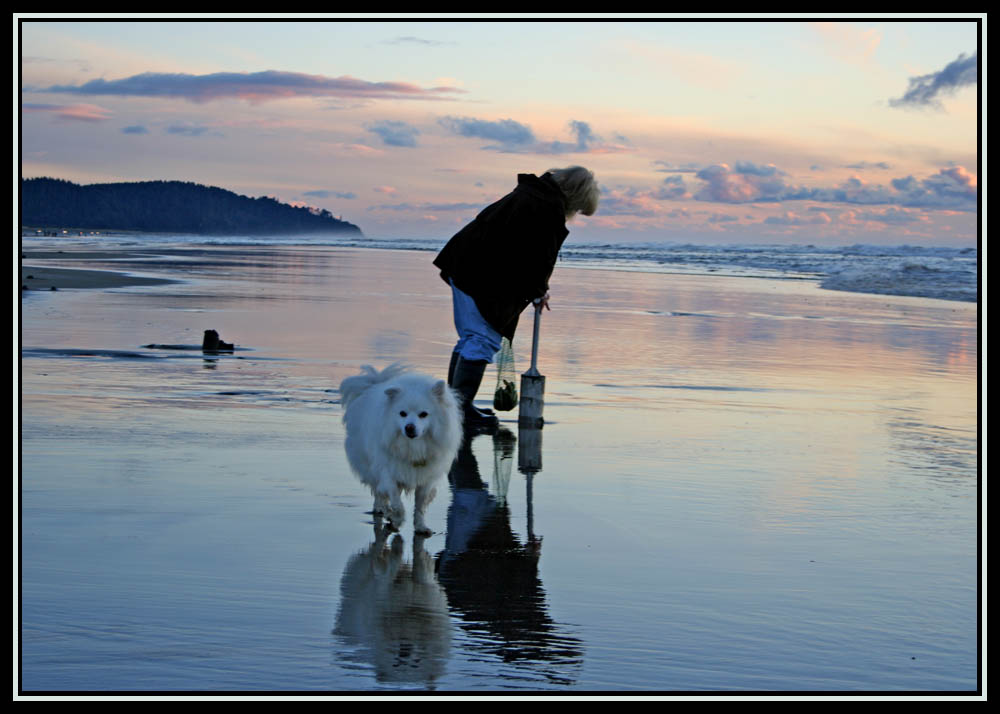 Clamming - Long Beach, WA  Nov 20, 2010