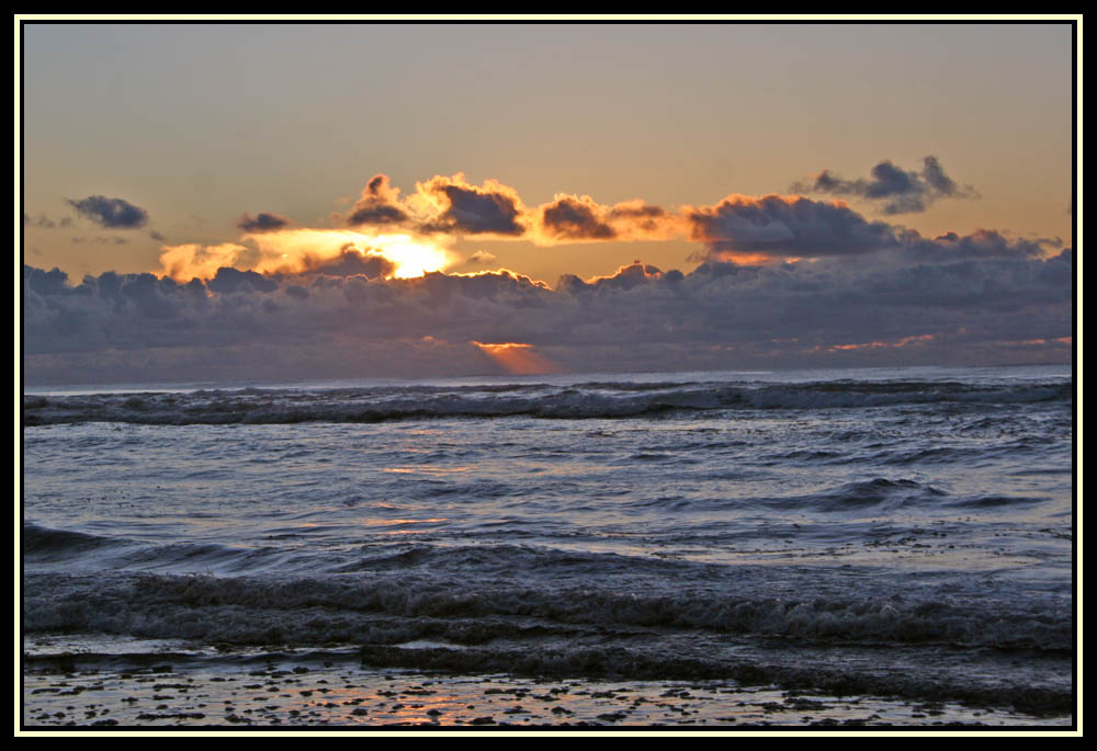 Clamming - Long Beach, WA  Nov 20, 2010