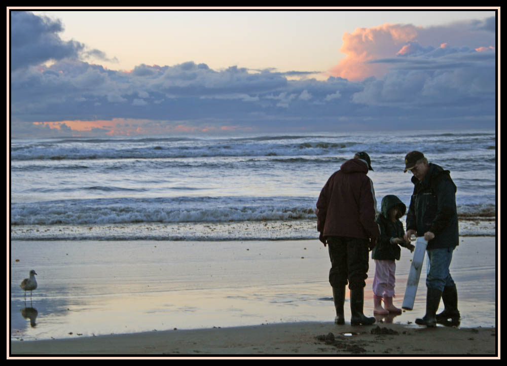 Clamming - Long Beach, WA  Nov 20, 2010