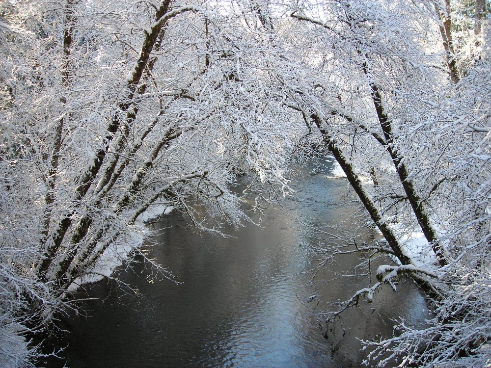 Cloquallum Creek