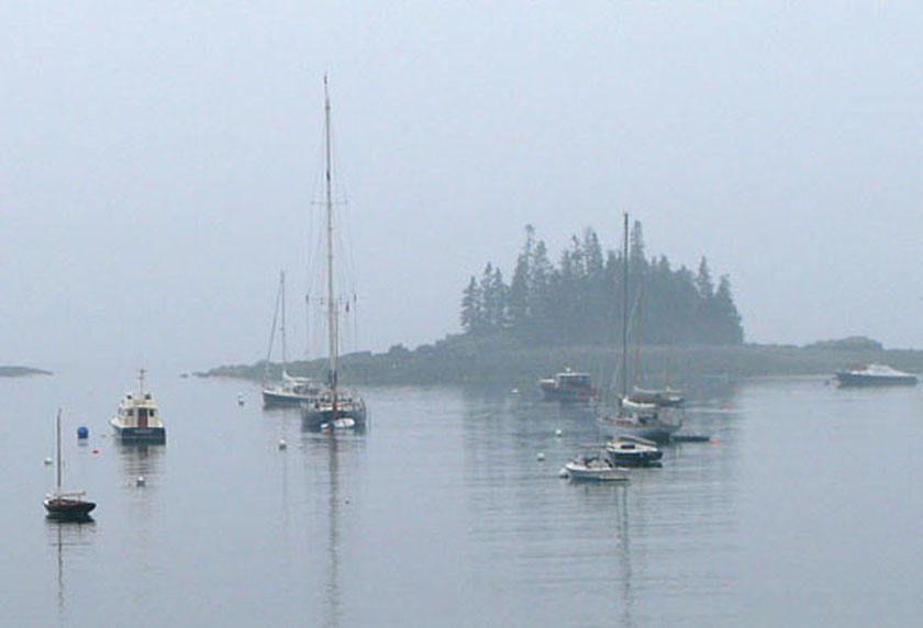 Cluster of Sailboats