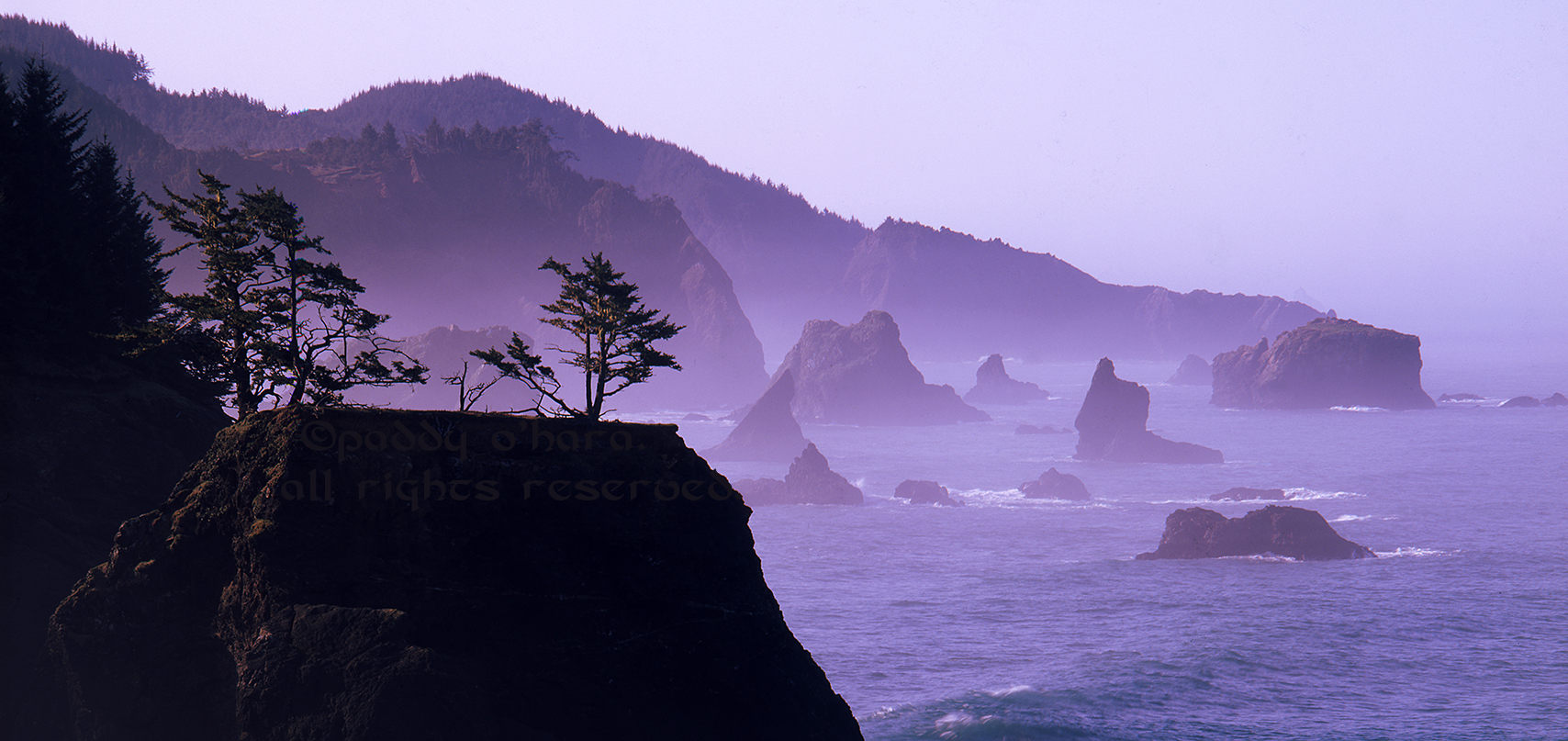 Coast @ Boardman SP (from 4x5)