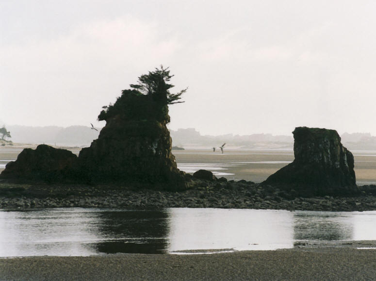 Coastal Silhouette