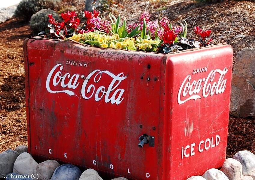 Coca Cola