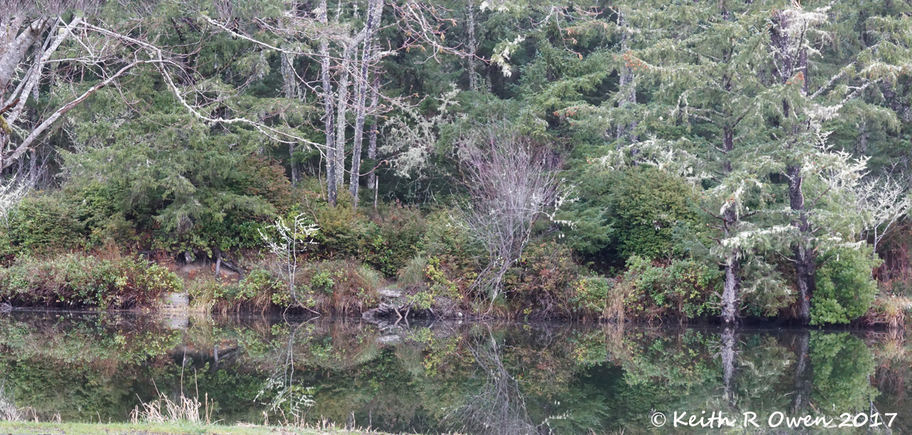 Coffenbury Lake