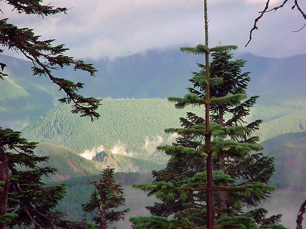 Columbia River Gorge
