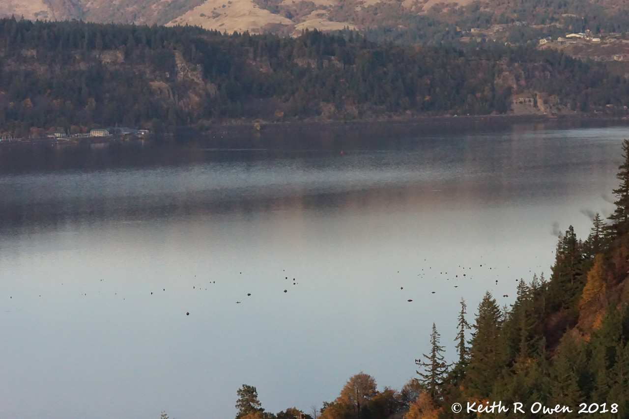 Columbia River